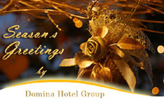 Domina hotels